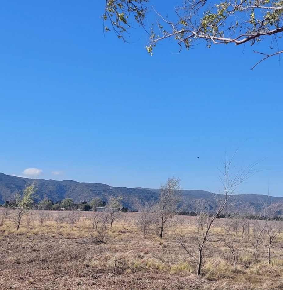 Lotes en venta en Los Reartes de 5200 m2 -CON FINANCIACION