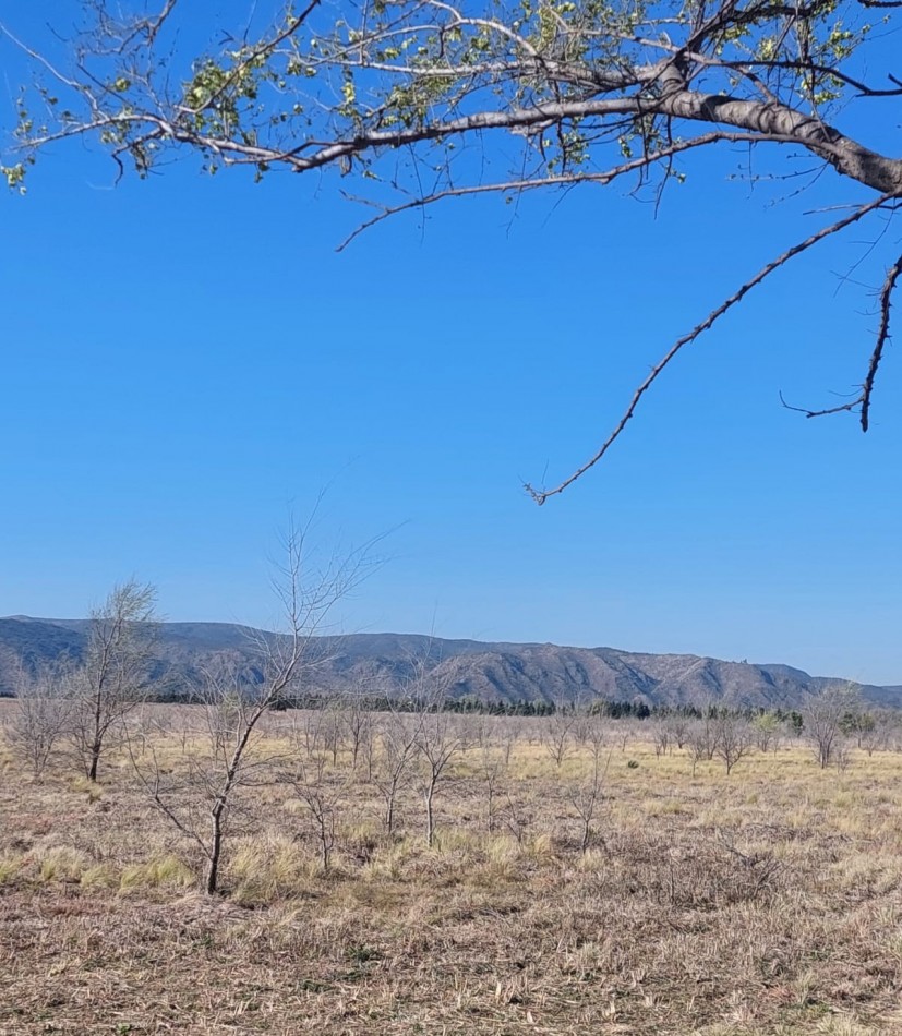 Lotes en venta en Los Reartes de 5200 m2 -CON FINANCIACION