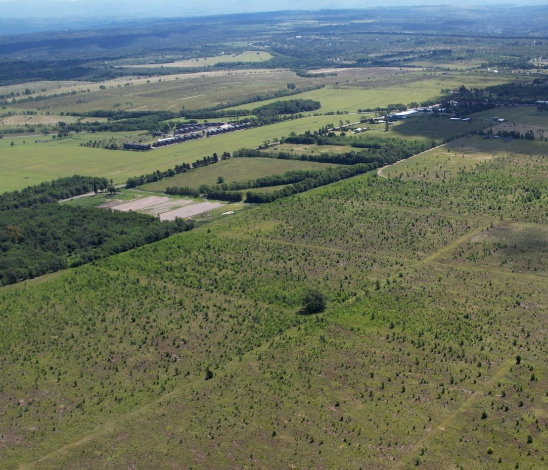 Lotes en venta en Los Reartes de 5200 m2 -CON FINANCIACION