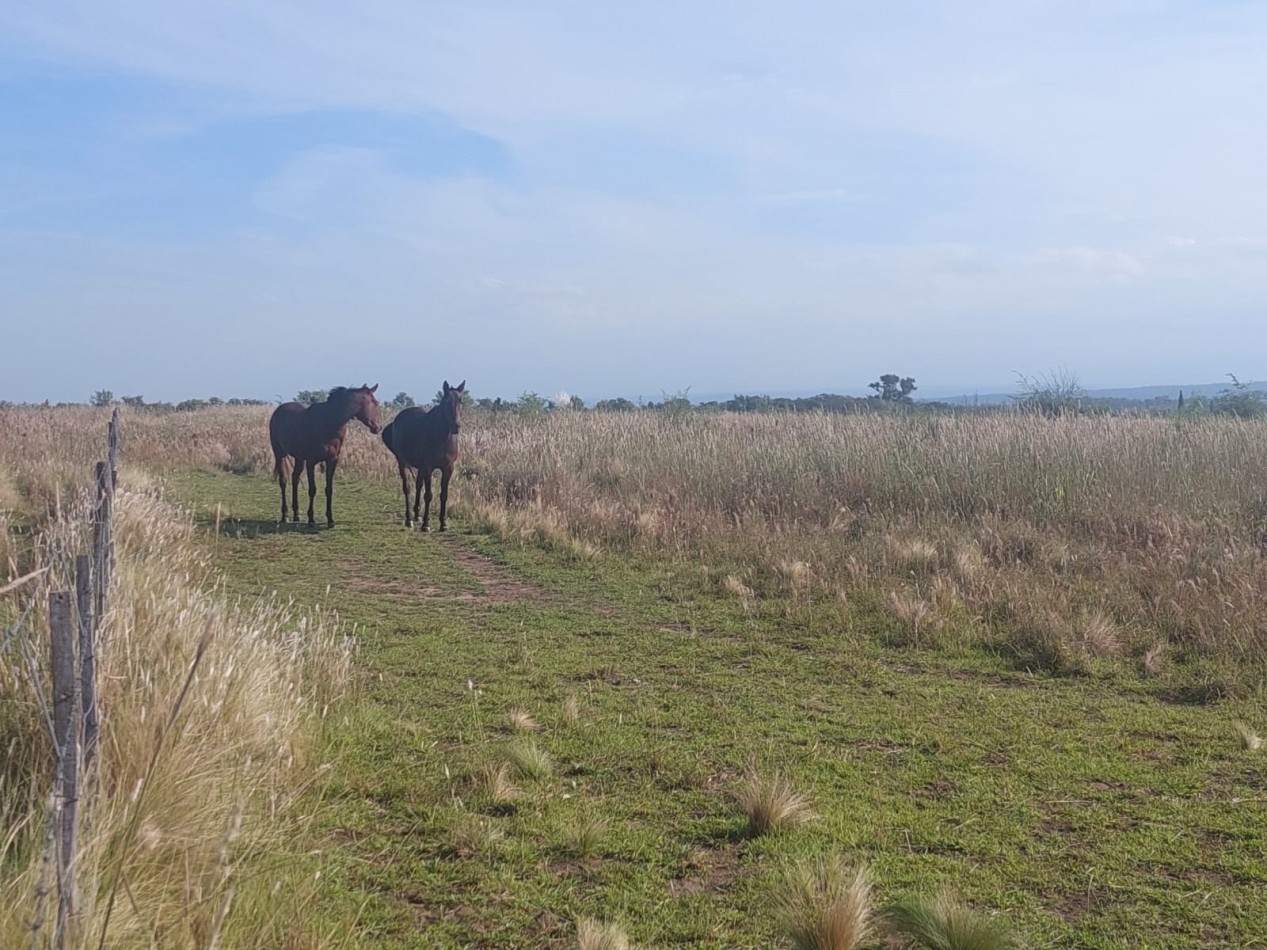 Lotes en venta en Los Reartes de 5200 m2 -CON FINANCIACION