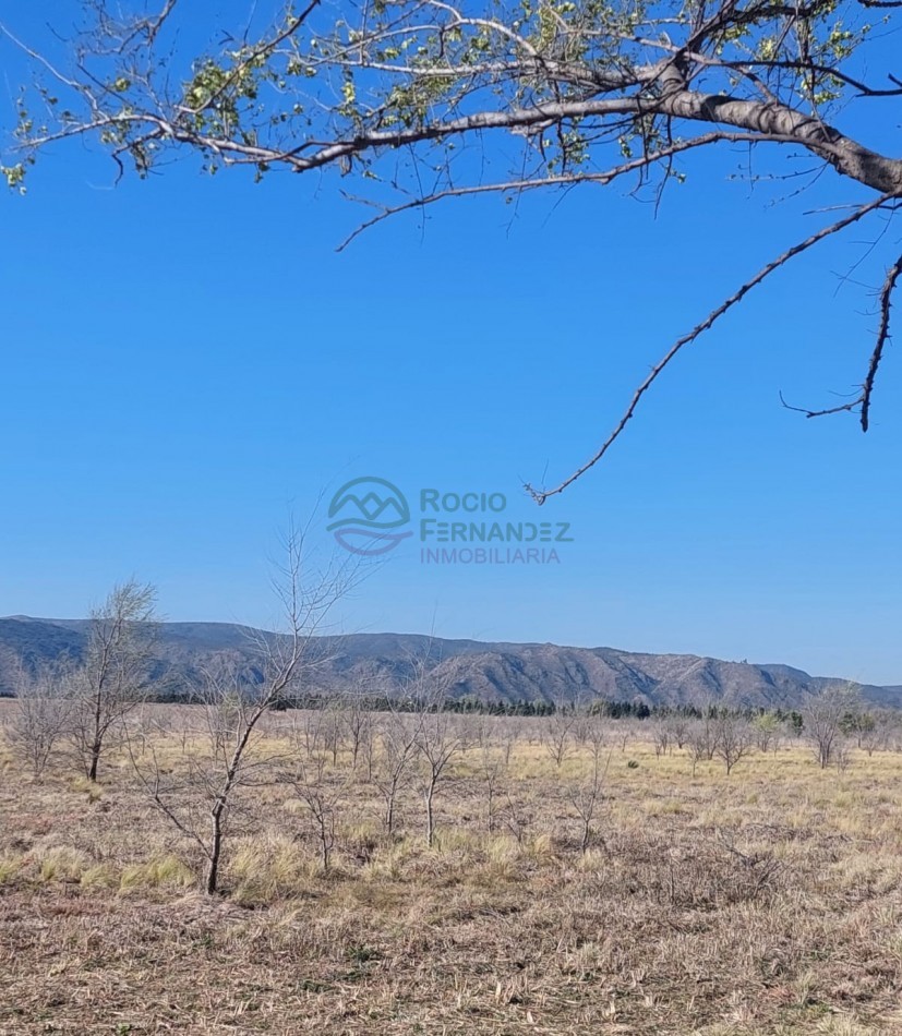 Fracciones de 5 hectareas en venta en Los Reartes, ideal emprendimiento
