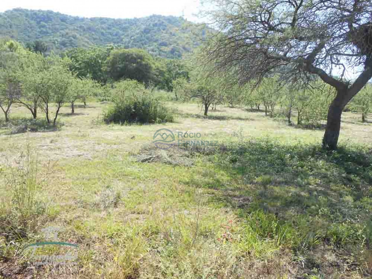 Lotes en venta al pie de las Sierras Chicas Santa Rosa de Calamuchita