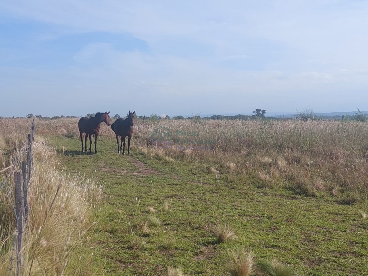 Fracciones de 5 hectareas en venta en Los Reartes, ideal emprendimiento