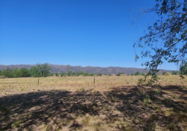  Fracciones de 1 hectarea en venta en Los Reartes- financiacion hasta 36 cuotas 